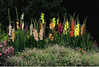 《粘液》2022年Q2登陆Steam 新增简体中文支持